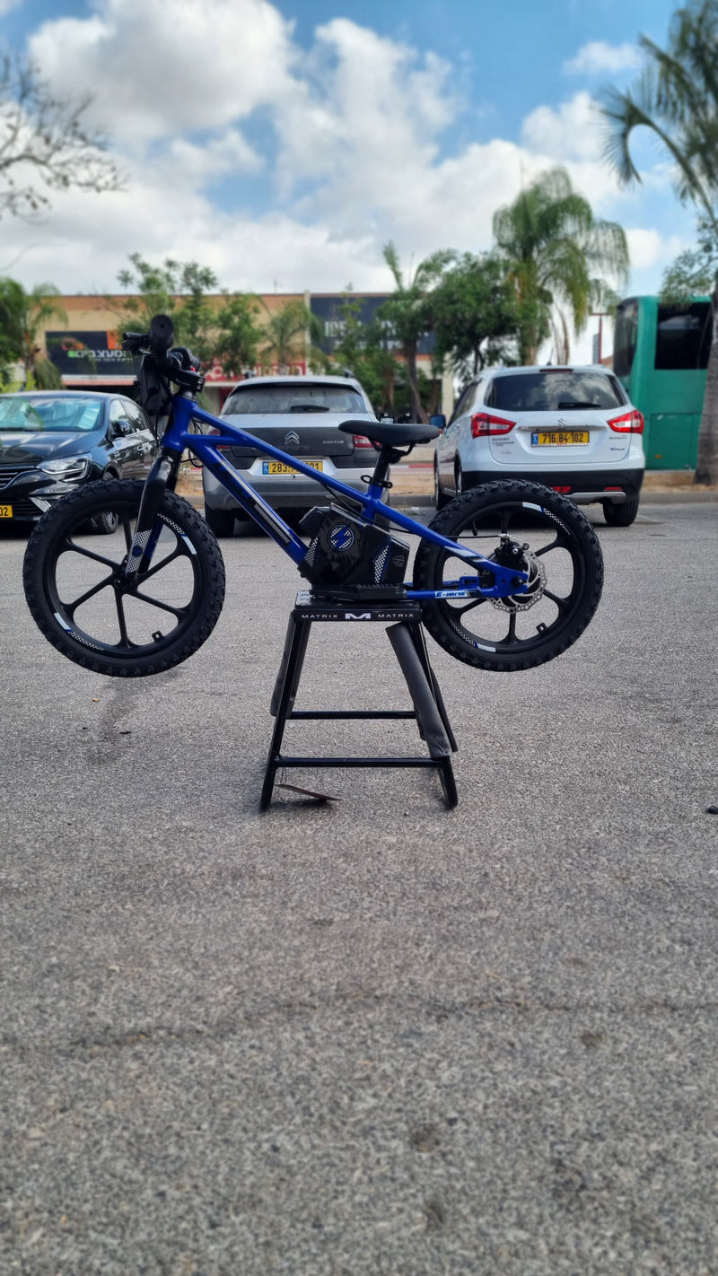 Load image into Gallery viewer, אופני איזון חשמליים אפ אר אס 36 וולט 16 אינץ׳ סוללה נשלפת FRS EX-PRO 36V/2.5AH