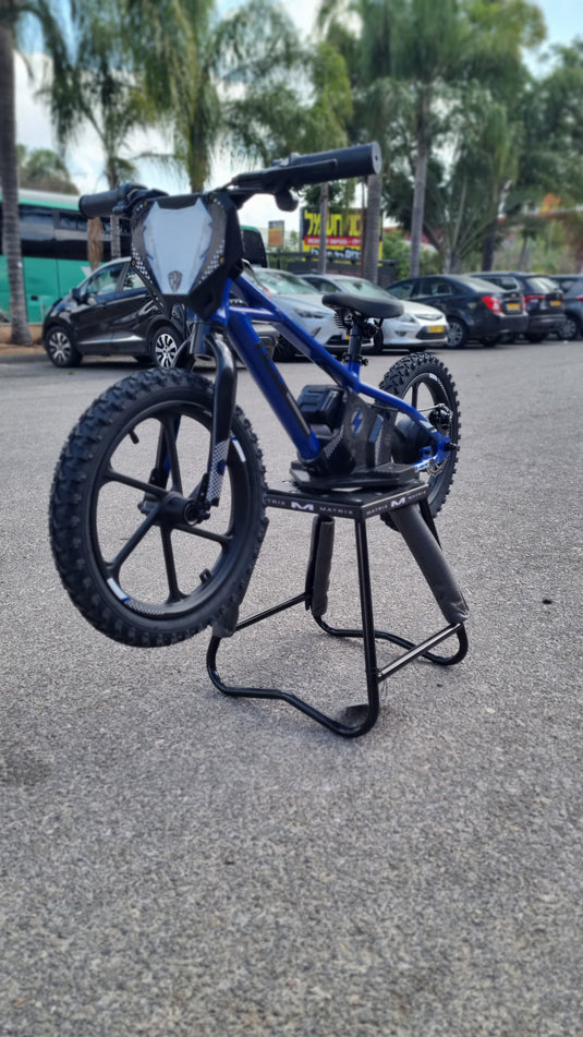 אופני איזון חשמליים אפ אר אס 36 וולט 16 אינץ׳ סוללה נשלפת FRS EX-PRO 36V/2.5AH