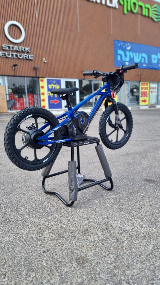 אופני איזון חשמליים אפ אר אס 36 וולט 16 אינץ׳ סוללה נשלפת FRS EX-PRO 36V/2.5AH